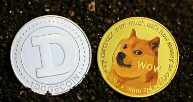 Dogecoin coins next to each other as Elon Musk does not use them for X payments.